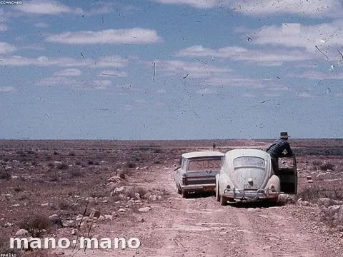 VW Vocho clásico 1998